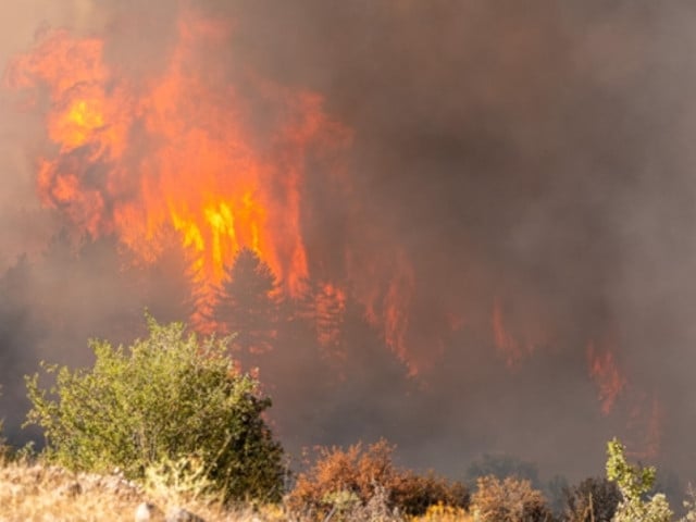 brazil wildfire photo anadolu agency